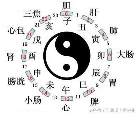 玄學數字